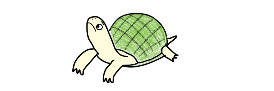 クサガメ飼育　とんの部屋　キャッチロゴ　透過