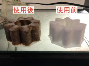 カメや熱帯魚に使う水槽の濾過器 フィルター について 役割や必要性 仕組みを解説