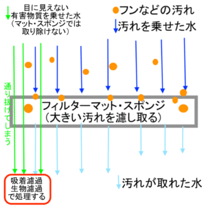 カメや熱帯魚に使う水槽の濾過器 フィルター について 役割や必要性 仕組みを解説