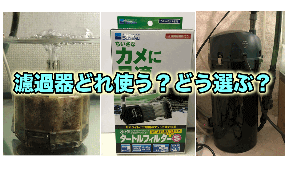 クサガメ飼育の濾過器(フィルター)について｜役割や仕組みを解説！