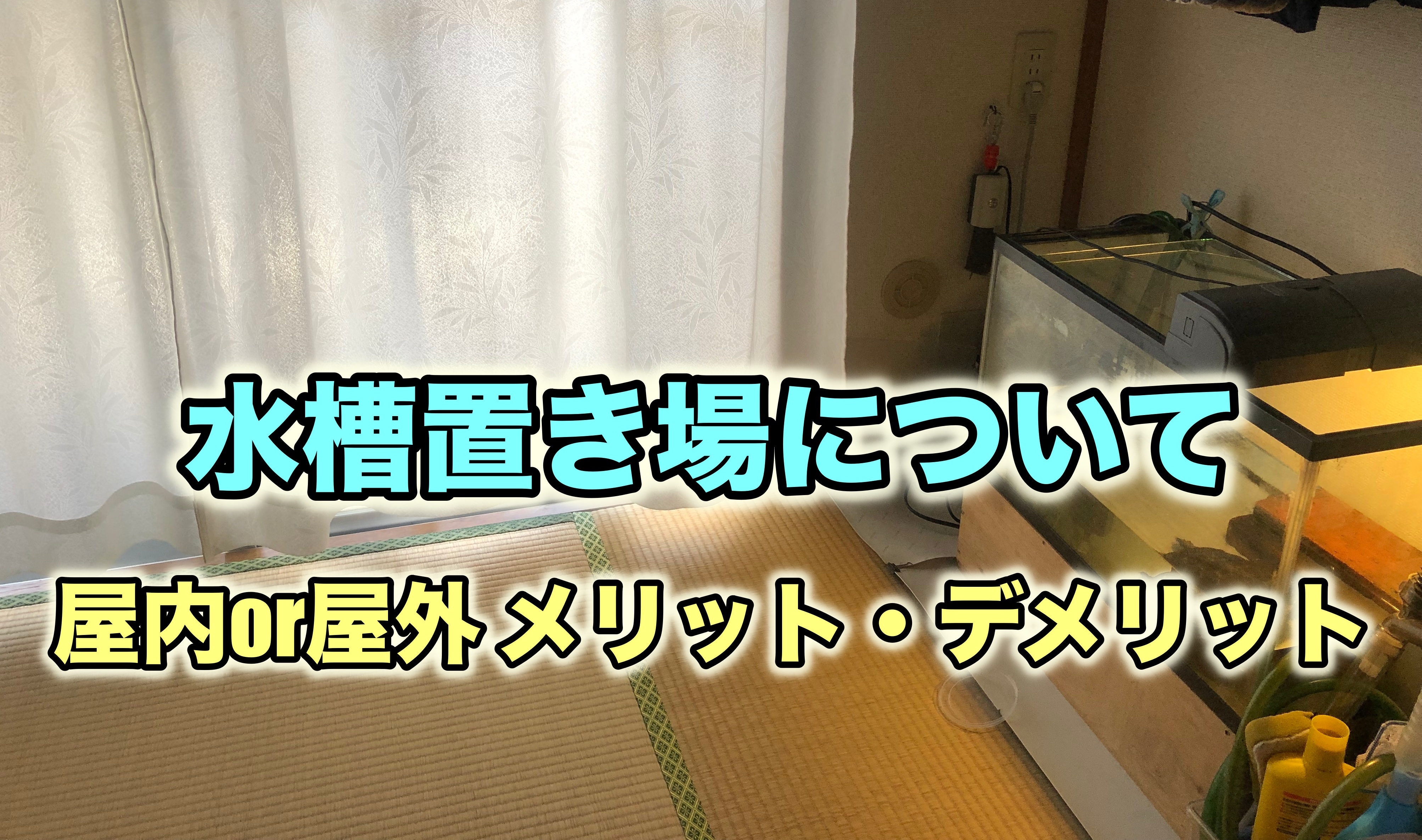 クサガメ飼育　水槽置き場　屋内屋外のメリットとデメリット