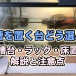 カメ飼育　水槽台の選び方と置き方