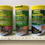 クサガメ飼育　餌　亀　テトラ　レプトミン