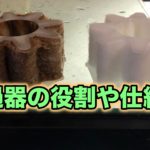 カメ飼育　濾過器・フィルターの役割や仕組み　クサガメ